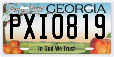 GA license plate PXI0819