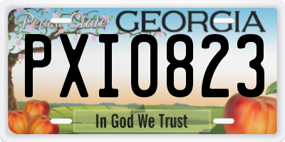 GA license plate PXI0823