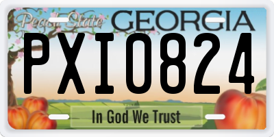 GA license plate PXI0824