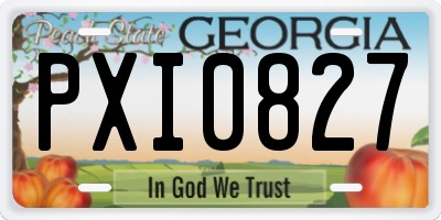 GA license plate PXI0827