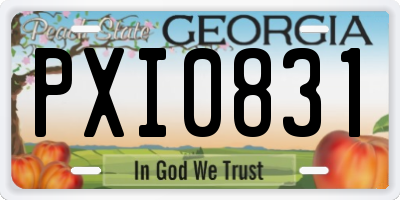 GA license plate PXI0831