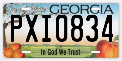 GA license plate PXI0834