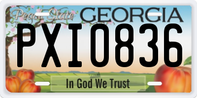 GA license plate PXI0836