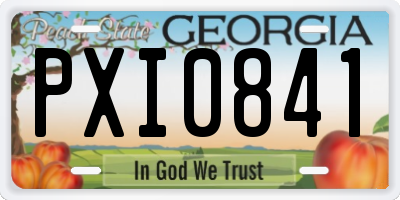 GA license plate PXI0841