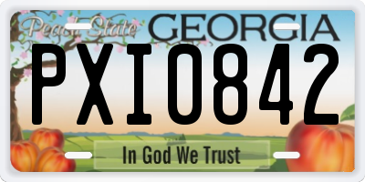 GA license plate PXI0842