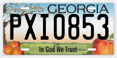 GA license plate PXI0853