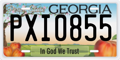 GA license plate PXI0855