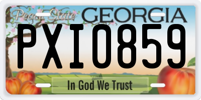 GA license plate PXI0859