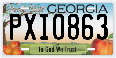 GA license plate PXI0863