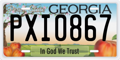 GA license plate PXI0867