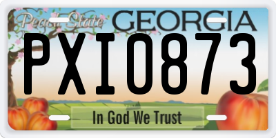 GA license plate PXI0873