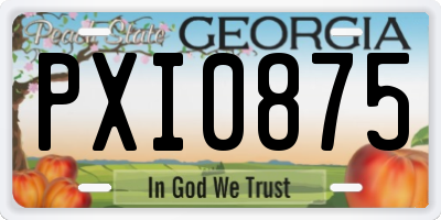 GA license plate PXI0875