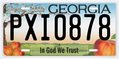 GA license plate PXI0878