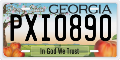 GA license plate PXI0890