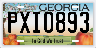 GA license plate PXI0893