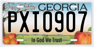 GA license plate PXI0907