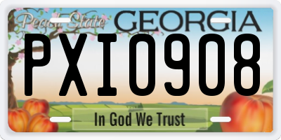 GA license plate PXI0908