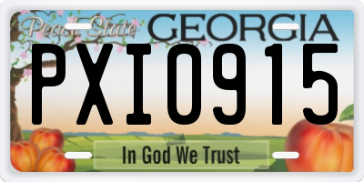 GA license plate PXI0915