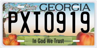 GA license plate PXI0919