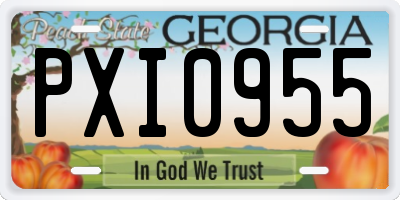 GA license plate PXI0955