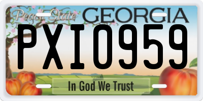 GA license plate PXI0959