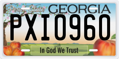 GA license plate PXI0960