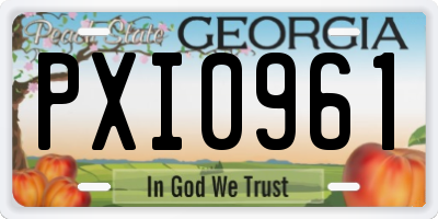GA license plate PXI0961