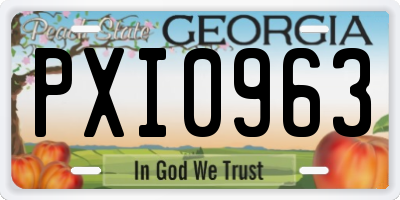 GA license plate PXI0963