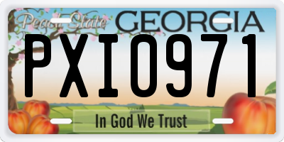 GA license plate PXI0971