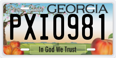 GA license plate PXI0981