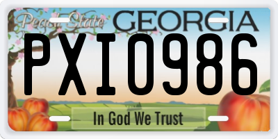 GA license plate PXI0986
