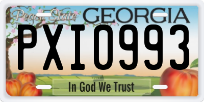 GA license plate PXI0993