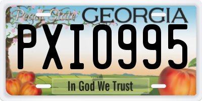 GA license plate PXI0995