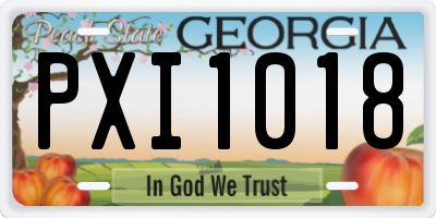 GA license plate PXI1018