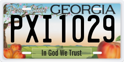 GA license plate PXI1029