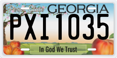 GA license plate PXI1035