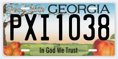 GA license plate PXI1038