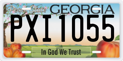 GA license plate PXI1055