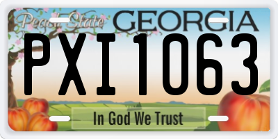 GA license plate PXI1063