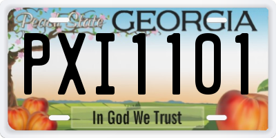 GA license plate PXI1101