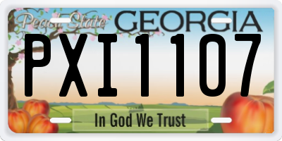 GA license plate PXI1107