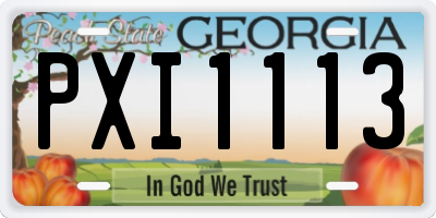GA license plate PXI1113