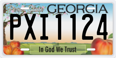 GA license plate PXI1124