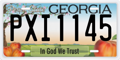 GA license plate PXI1145