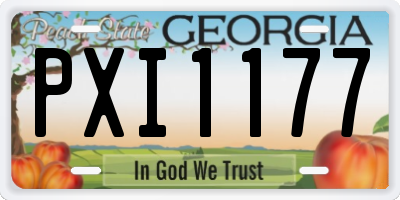 GA license plate PXI1177