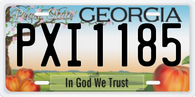 GA license plate PXI1185