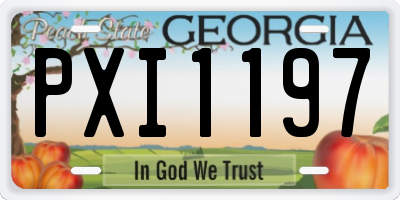 GA license plate PXI1197