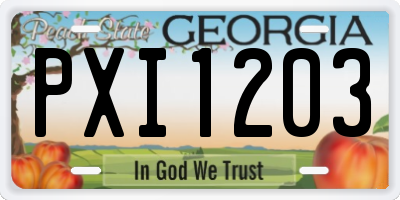 GA license plate PXI1203