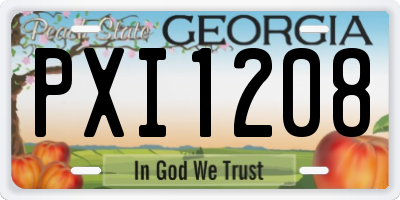 GA license plate PXI1208