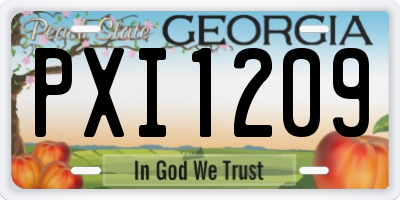 GA license plate PXI1209
